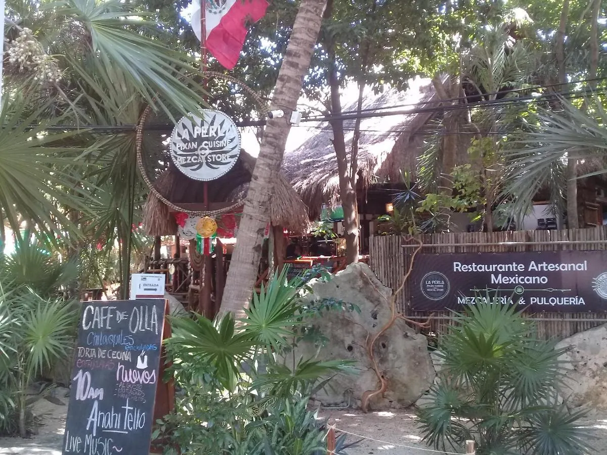 Caribbean Vibes Studio - Cerca De 5Ta Av Y Playa Playa del Carmen 0*,  Mexico